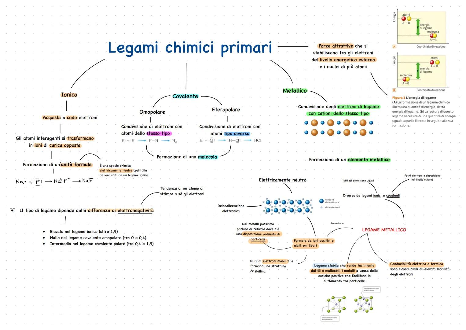 # Chimica
Organica RIPASSO:
Le proprietà periodiche degli elementi
sono distinte in:
Densità
La densità di un elemento è il rapporto
tra
