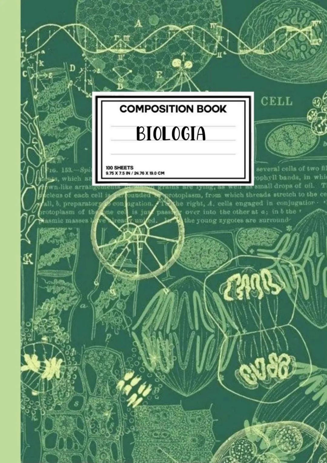 T
COMPOSITION BOOK
BIOLOGIA
CELL
IG. 153. Spi
tests, which ar
100 SHEETS
9.75 X 7.5 IN/24.76 X 19.0 CM
several cells of two fil
rophyll band