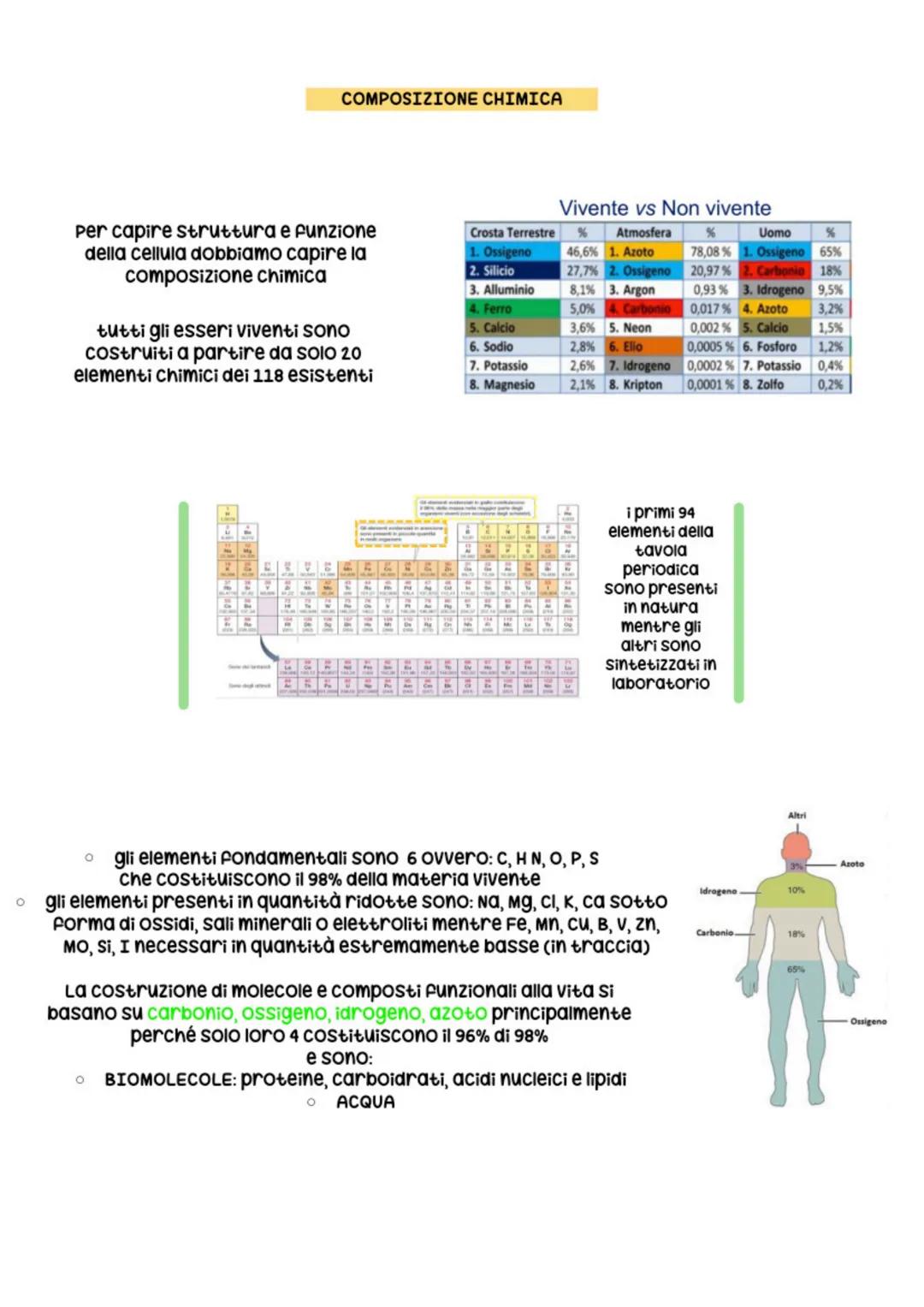 T
COMPOSITION BOOK
BIOLOGIA
CELL
IG. 153. Spi
tests, which ar
100 SHEETS
9.75 X 7.5 IN/24.76 X 19.0 CM
several cells of two fil
rophyll band