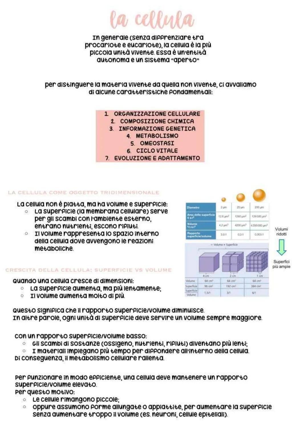 biologia parte 2 # la cellula
In generale (senza diffrenziare tra
procariote e eucariote), la cellula è la più
piccola unità vivente. Essa