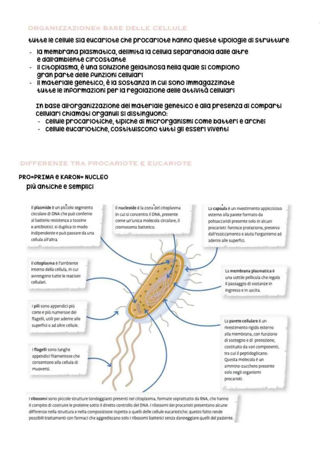 biologia parte 2 # la cellula
In generale (senza diffrenziare tra
procariote e eucariote), la cellula è la più
piccola unità vivente. Essa
