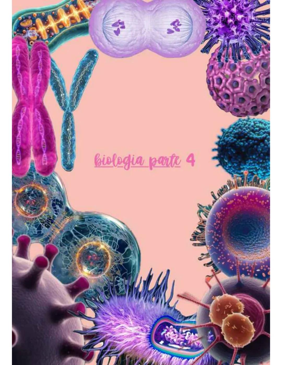 biologia parte 4 # dna
È un polimero costituito da nucleotidi che si
legano tramite un legame fosfodiesterico
Legame fosfodiesterico
nucl
