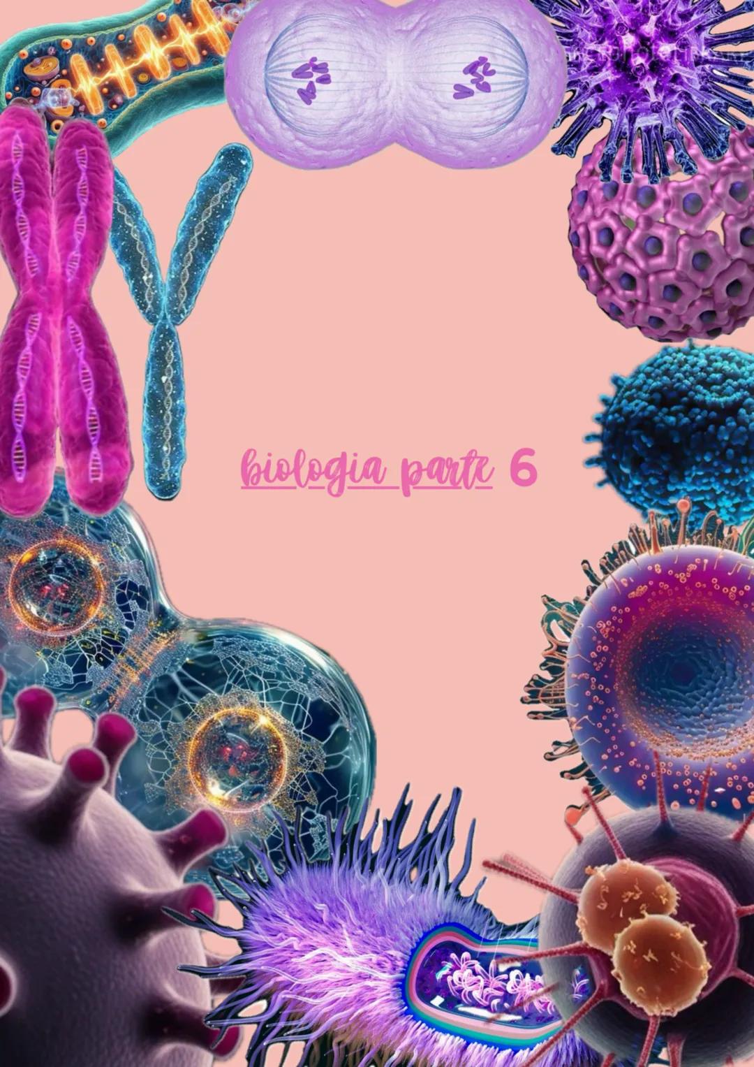 biologia parte 6 # divisione e ciclo cellulare
ogni essere vivente si distingue dalla materia inanimata per alcune caratteristiche
Fondamen