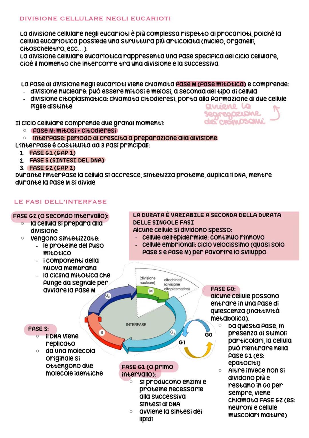 biologia parte 6 # divisione e ciclo cellulare
ogni essere vivente si distingue dalla materia inanimata per alcune caratteristiche
Fondamen