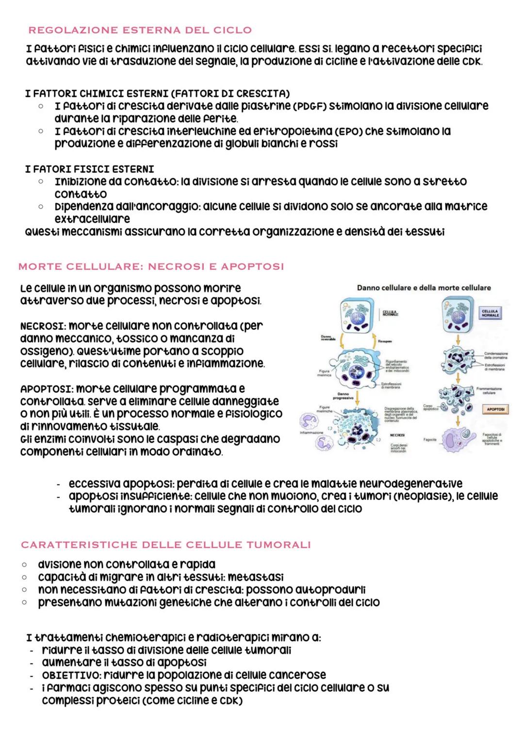 biologia parte 6 # divisione e ciclo cellulare
ogni essere vivente si distingue dalla materia inanimata per alcune caratteristiche
Fondamen