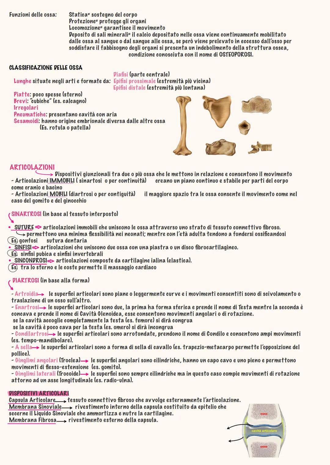 # ANATOMIA
Daria brothel - 2025 # ΑΝΑΤΟΜΙΑ → "dissezione"
Anatomia generale
دا
Studio del corpo umano in modo pratico, si disseziona da