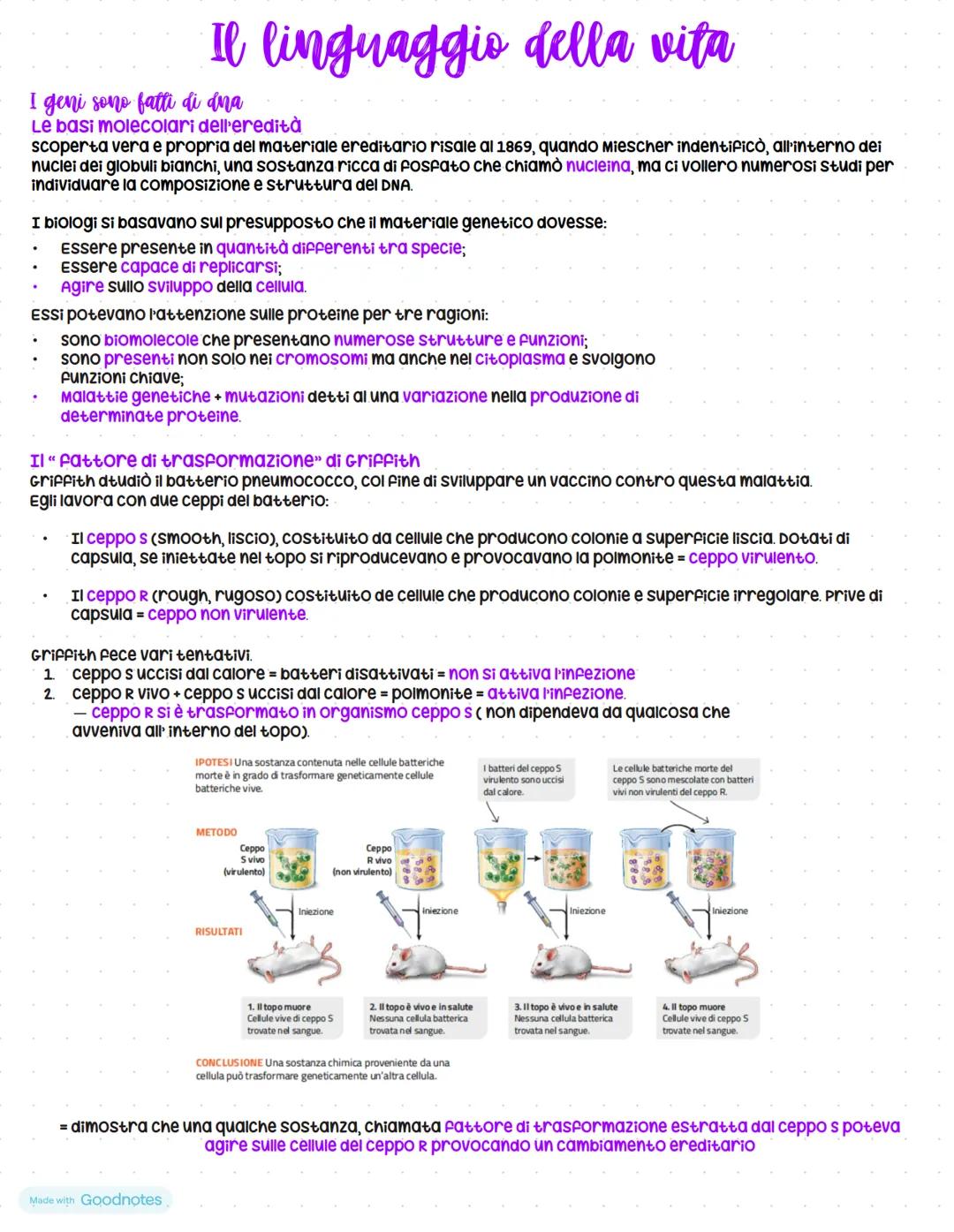 # Il linguaggio della vita
I geni sono fatti di dna
Le basi molecolari dell'eredità
scoperta vera e propria del materiale ereditario risale