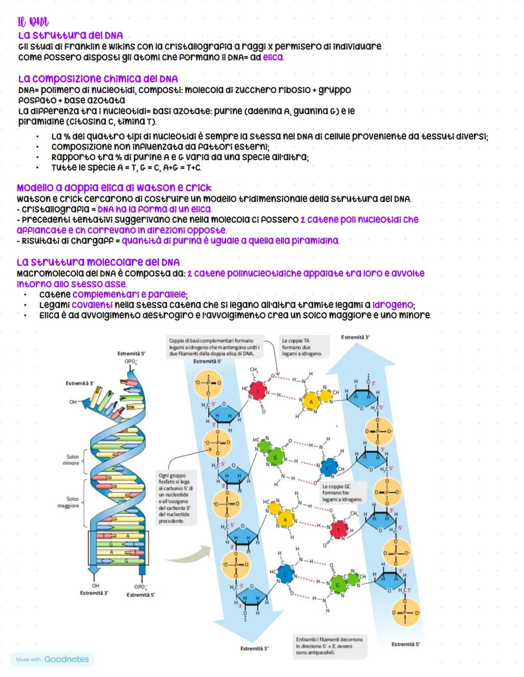 # Il linguaggio della vita
I geni sono fatti di dna
Le basi molecolari dell'eredità
scoperta vera e propria del materiale ereditario risale