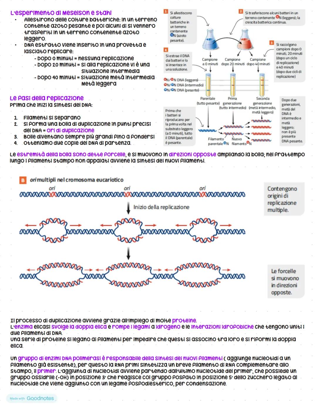 # Il linguaggio della vita
I geni sono fatti di dna
Le basi molecolari dell'eredità
scoperta vera e propria del materiale ereditario risale