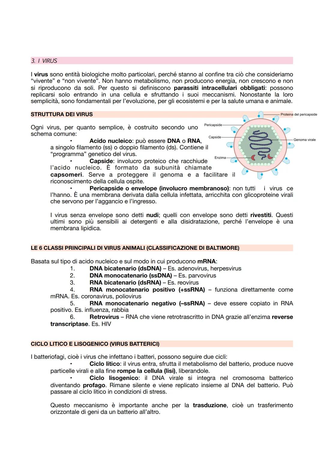 # Medicina-Biologia
UNITÀ 1
LE BASI DELLA BIOLOGIA
1. L'ALBERO DELLA VITA E LA TEORIA CELLULARE
L'ALBERO DELLA VITA
Nel 1990 Carl Woese