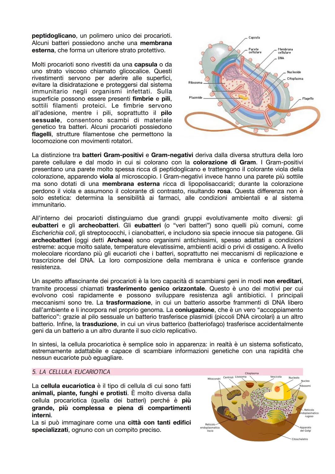 # Medicina-Biologia
UNITÀ 1
LE BASI DELLA BIOLOGIA
1. L'ALBERO DELLA VITA E LA TEORIA CELLULARE
L'ALBERO DELLA VITA
Nel 1990 Carl Woese
