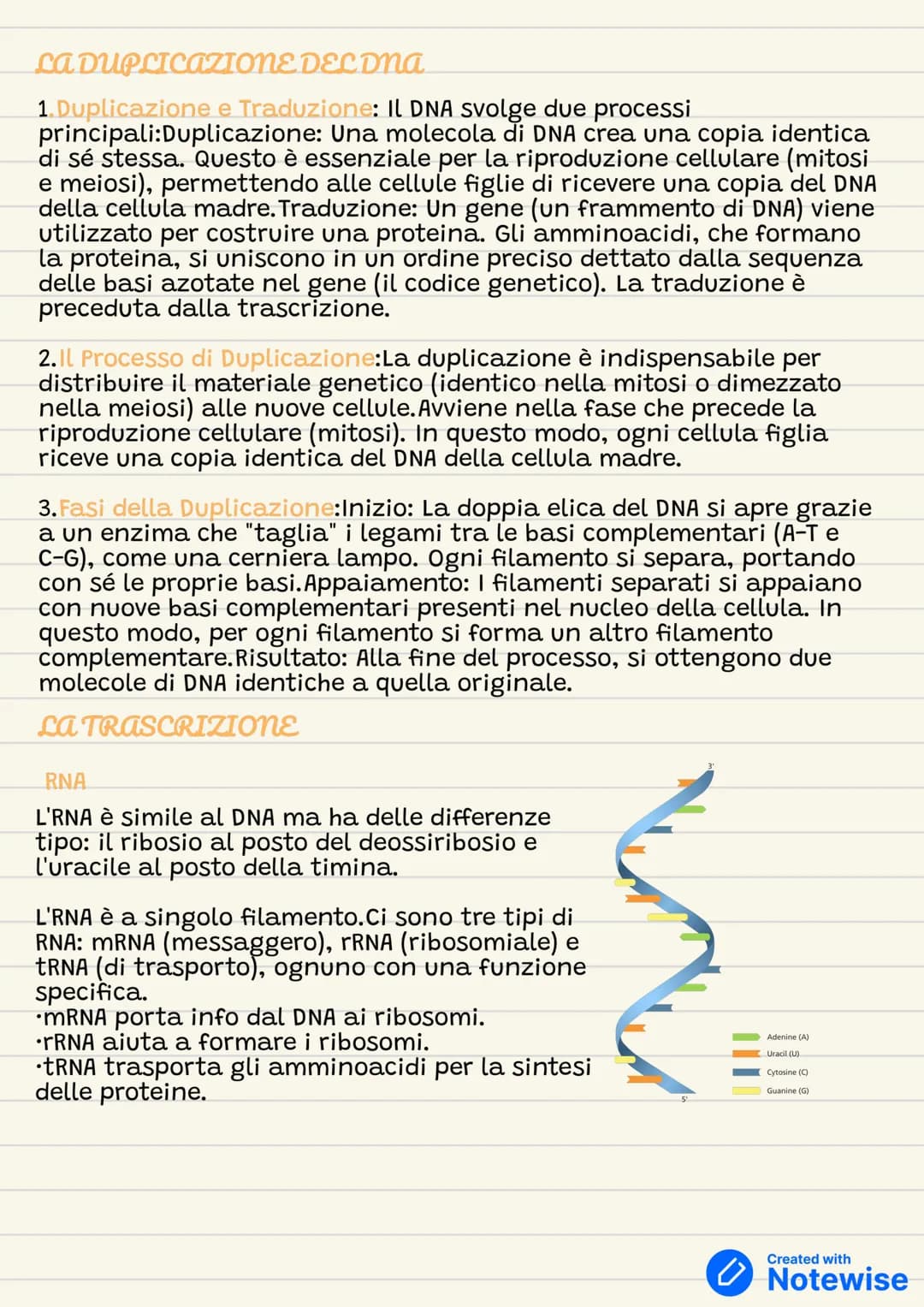 DNA E RNa
CHE COS'È LA GENETICA?
il nucleo delle nostre cellule ha i cromosomi in doppia copia
(diploide) nelle cellule somatiche e in copi