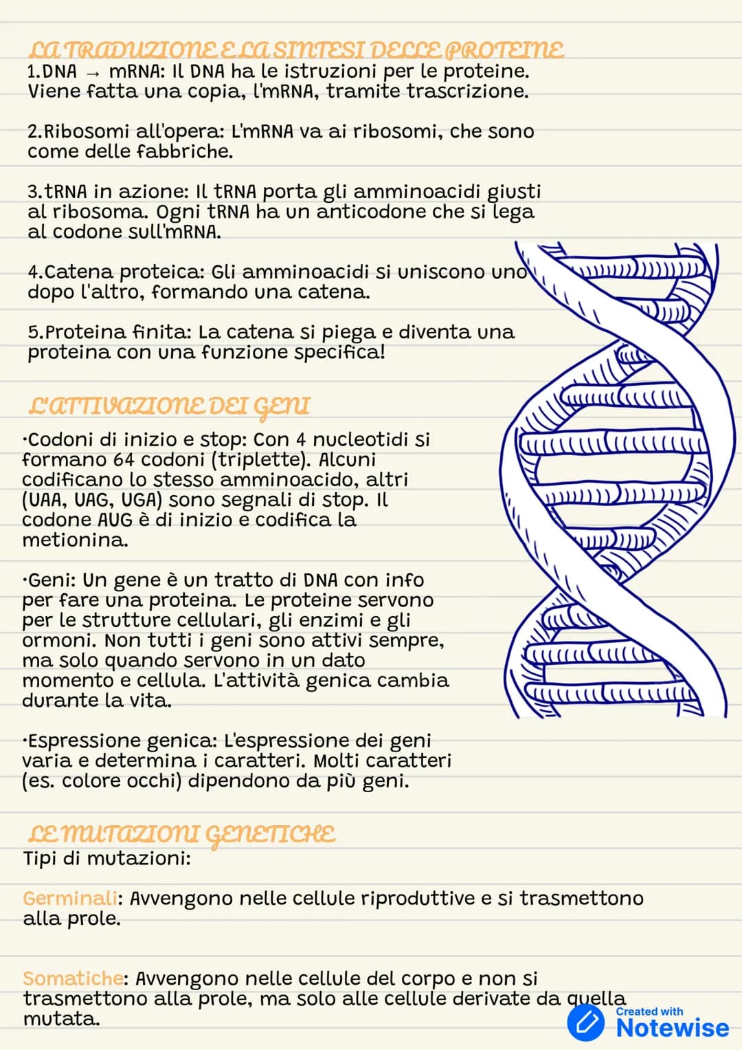 DNA E RNa
CHE COS'È LA GENETICA?
il nucleo delle nostre cellule ha i cromosomi in doppia copia
(diploide) nelle cellule somatiche e in copi