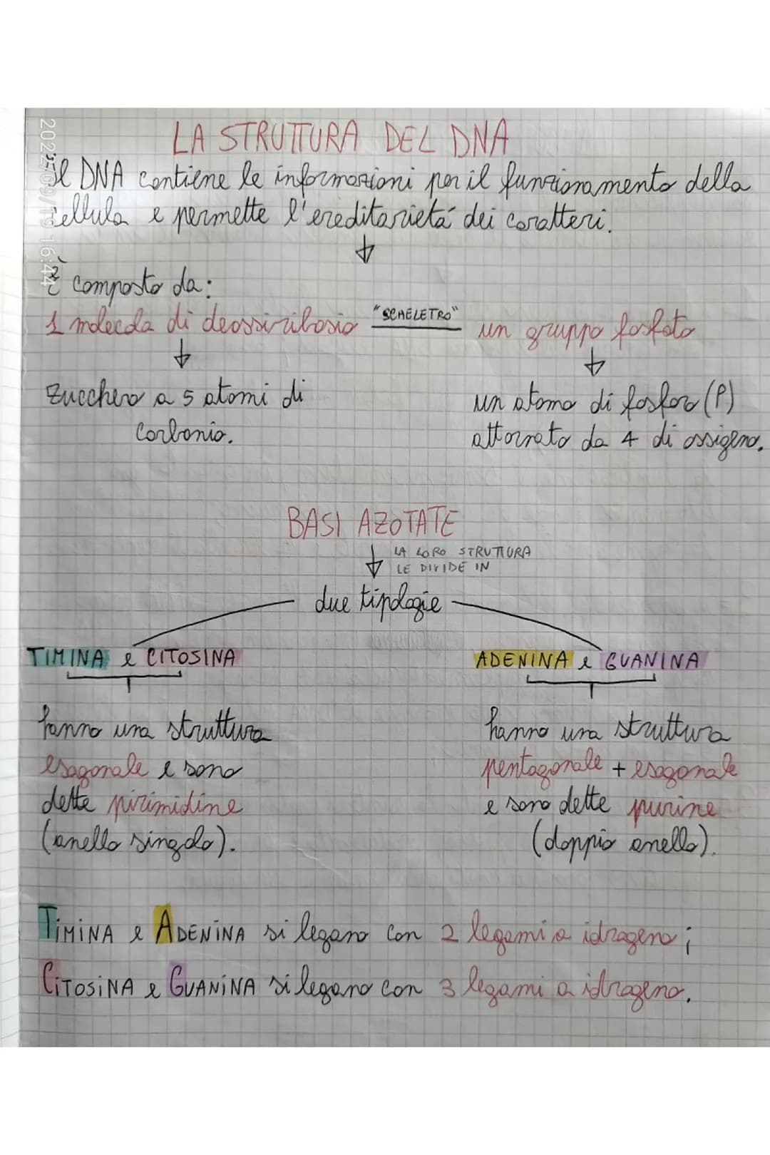 20225
# LA STRUTTURA DEL DNA
Il DNA contiene le informazioni per il funzionamento della cellula e permette l'ereditarietà dei caratteri.
È