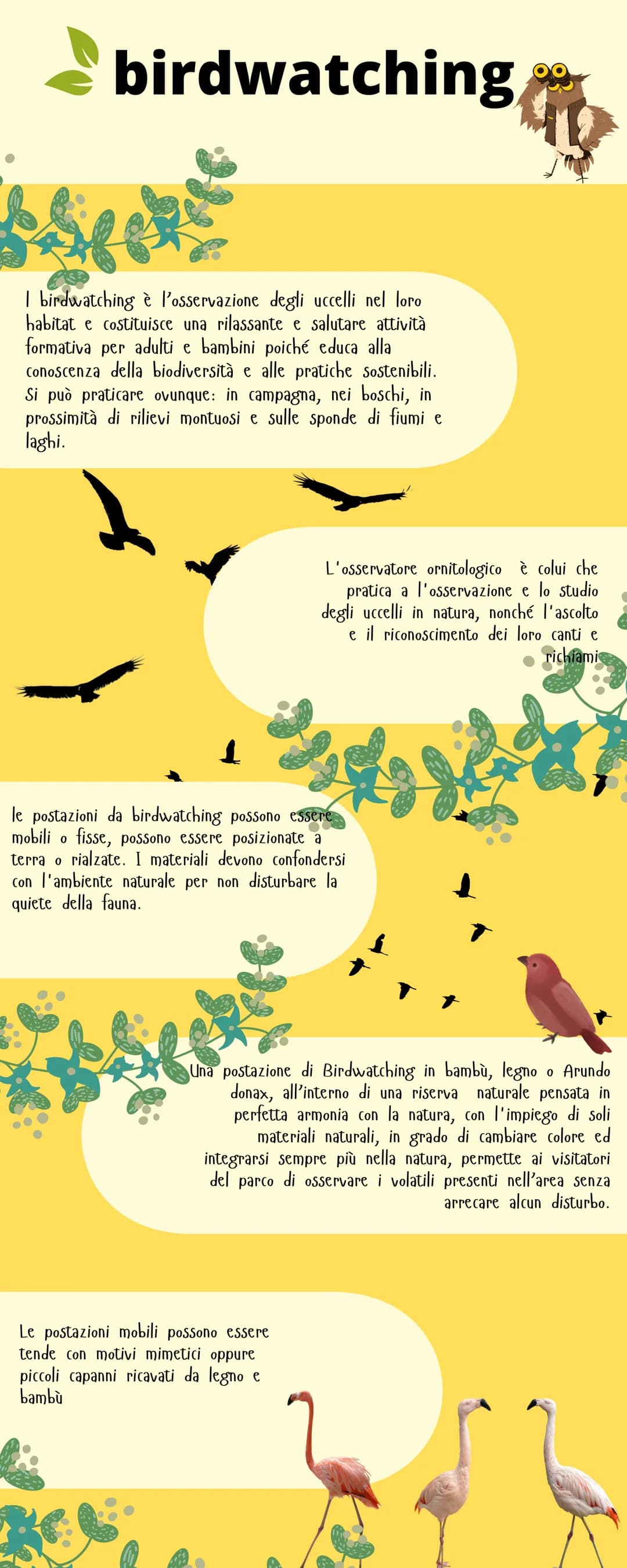 # BIRDWATCHING
I birdwatching è l'osservazione degli uccelli nel loro habitat e costituisce una rilassante e salutare attività formativa pe