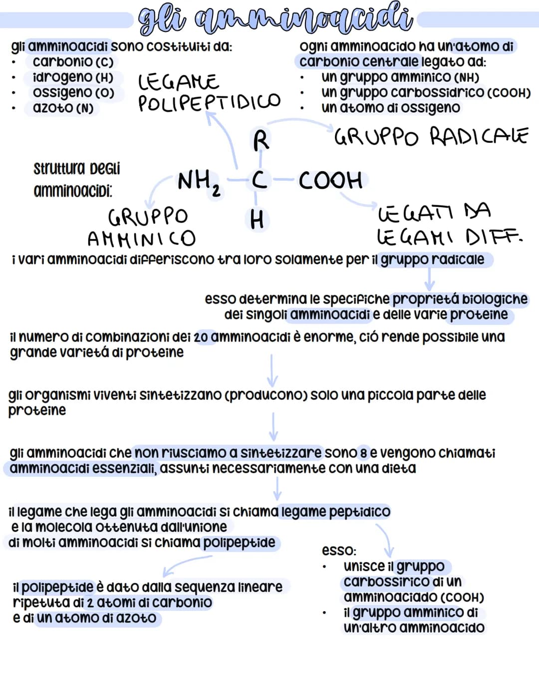 # gli amminoacidi
gli amminoacidi sono costituiti da:
- carbonio (C)
- idrogeno (H)
- ossigeno (O)
- azoto (N)
ogni amminoacido ha un'atom