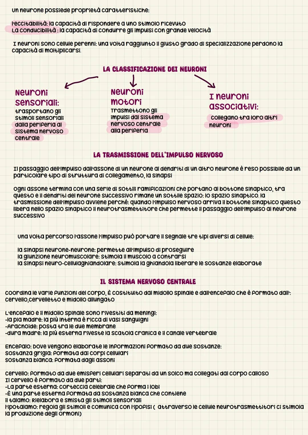 cervelletto:
Diviso in due emisferi formato da pieghe (circonvoluzioni cerebellari) controlla in cui ordina i
movimenti volontari
Midollo al
