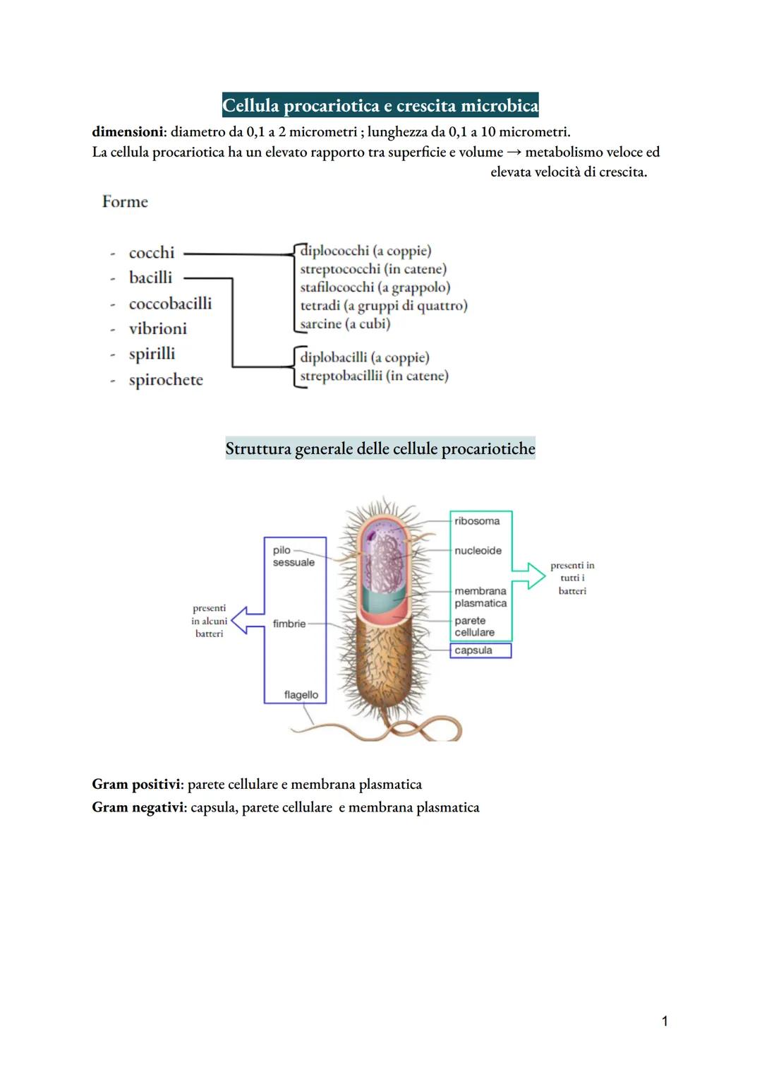# Cellula procariotica e crescita microbica
dimensioni: diametro da 0,1 a 2 micrometri; lunghezza da 0,1 a 10 micrometri.
La cellula procar