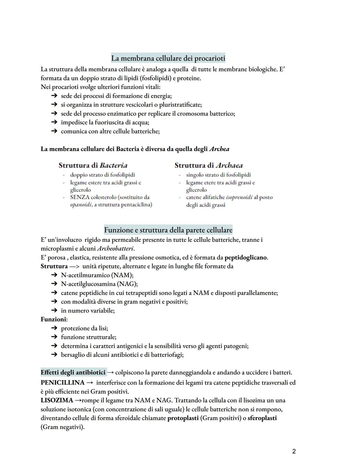 # Cellula procariotica e crescita microbica
dimensioni: diametro da 0,1 a 2 micrometri; lunghezza da 0,1 a 10 micrometri.
La cellula procar