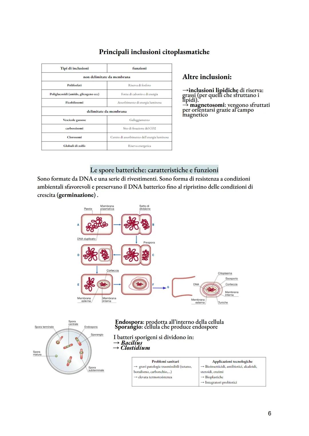 # Cellula procariotica e crescita microbica
dimensioni: diametro da 0,1 a 2 micrometri; lunghezza da 0,1 a 10 micrometri.
La cellula procar