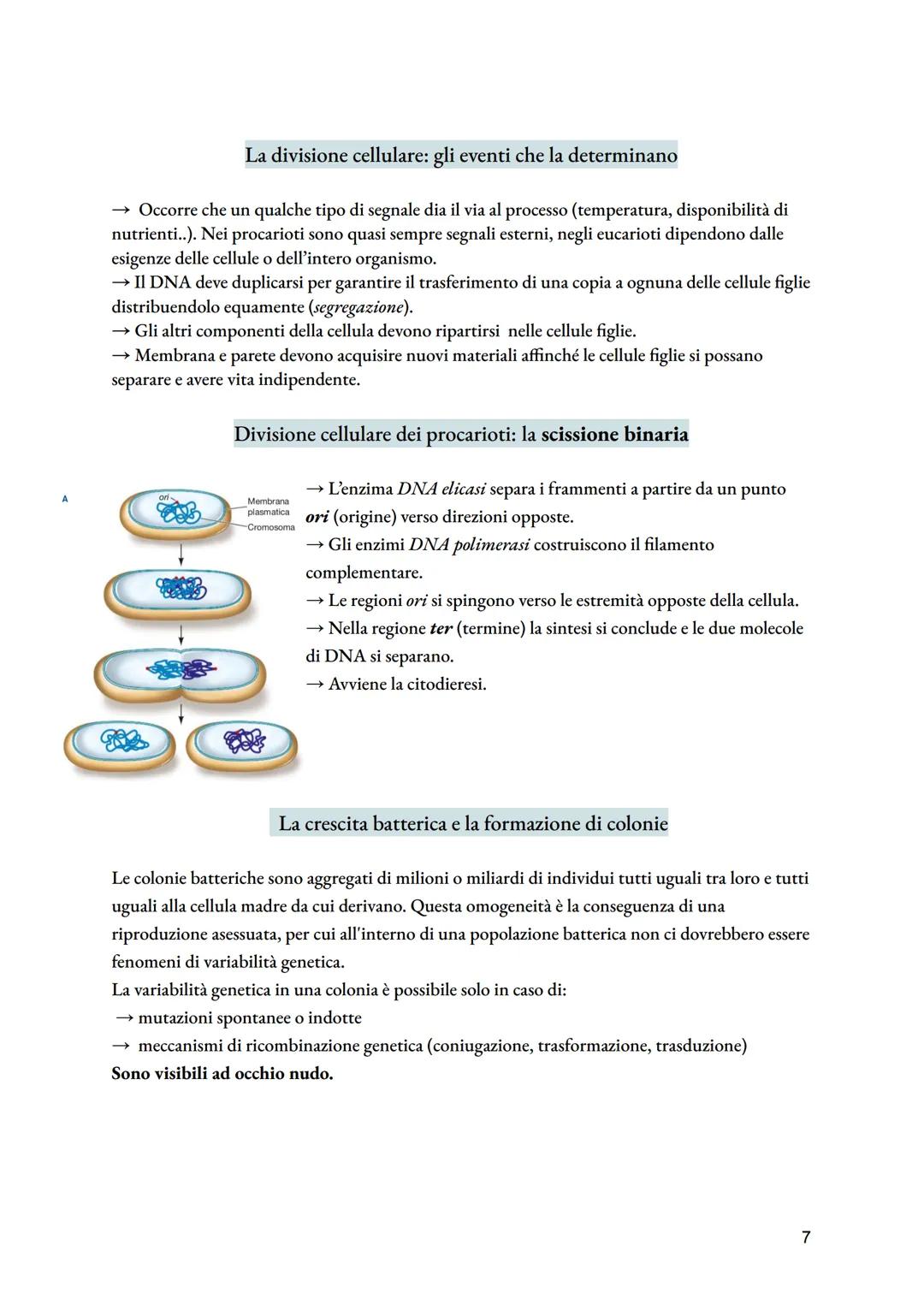 # Cellula procariotica e crescita microbica
dimensioni: diametro da 0,1 a 2 micrometri; lunghezza da 0,1 a 10 micrometri.
La cellula procar