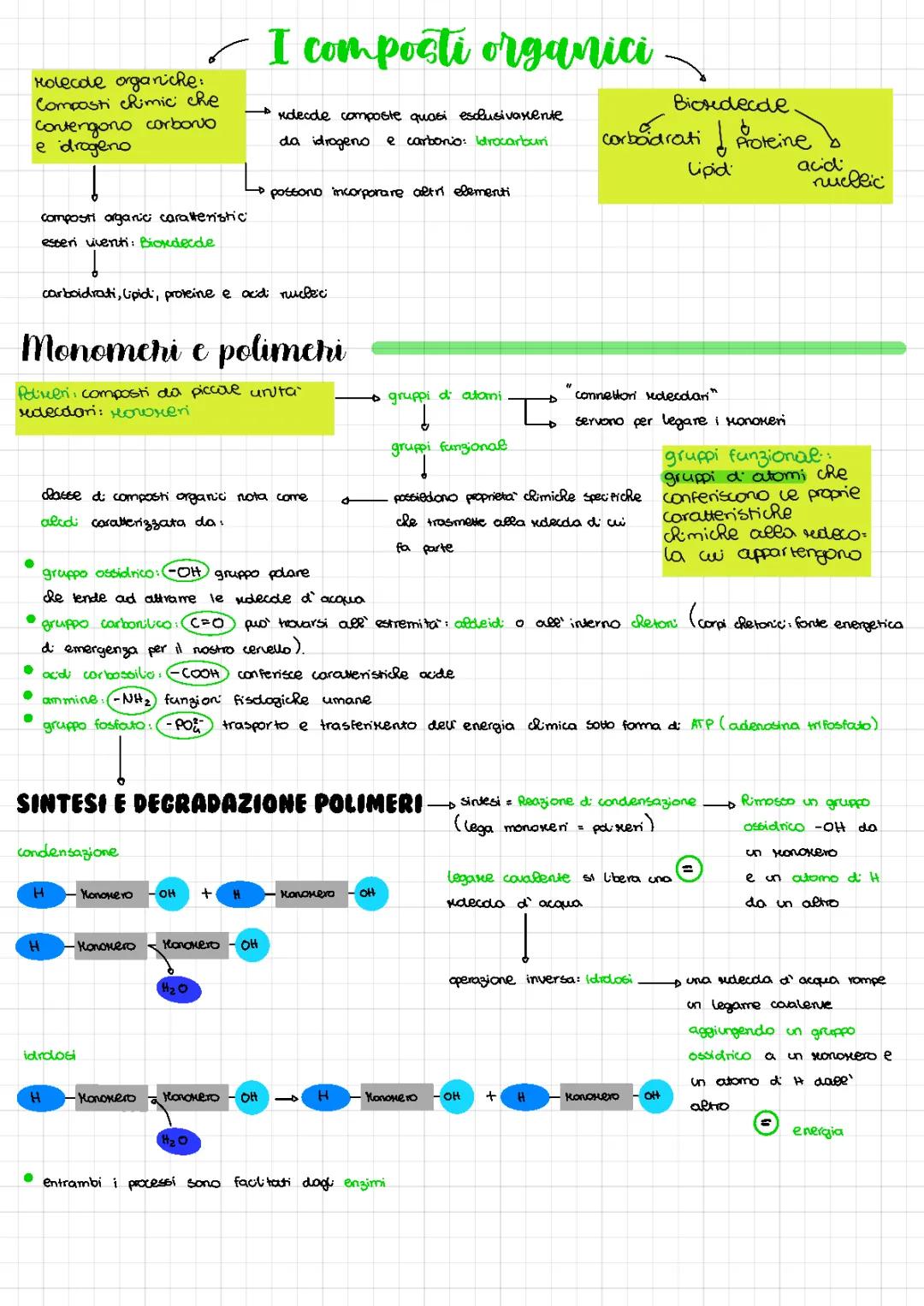 I composti organici e I carboidrati