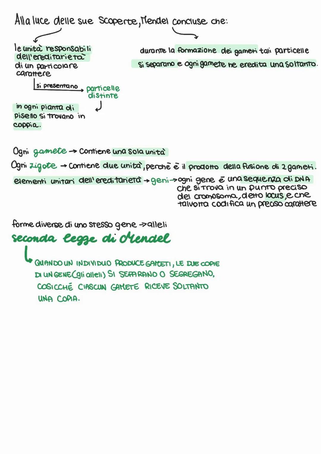 genetica
Mendel
Studio delle leggi e
dei meccanismi che
Permettono la trasmissione
dei caratteri da una
generazione all'altra e
nasce come s