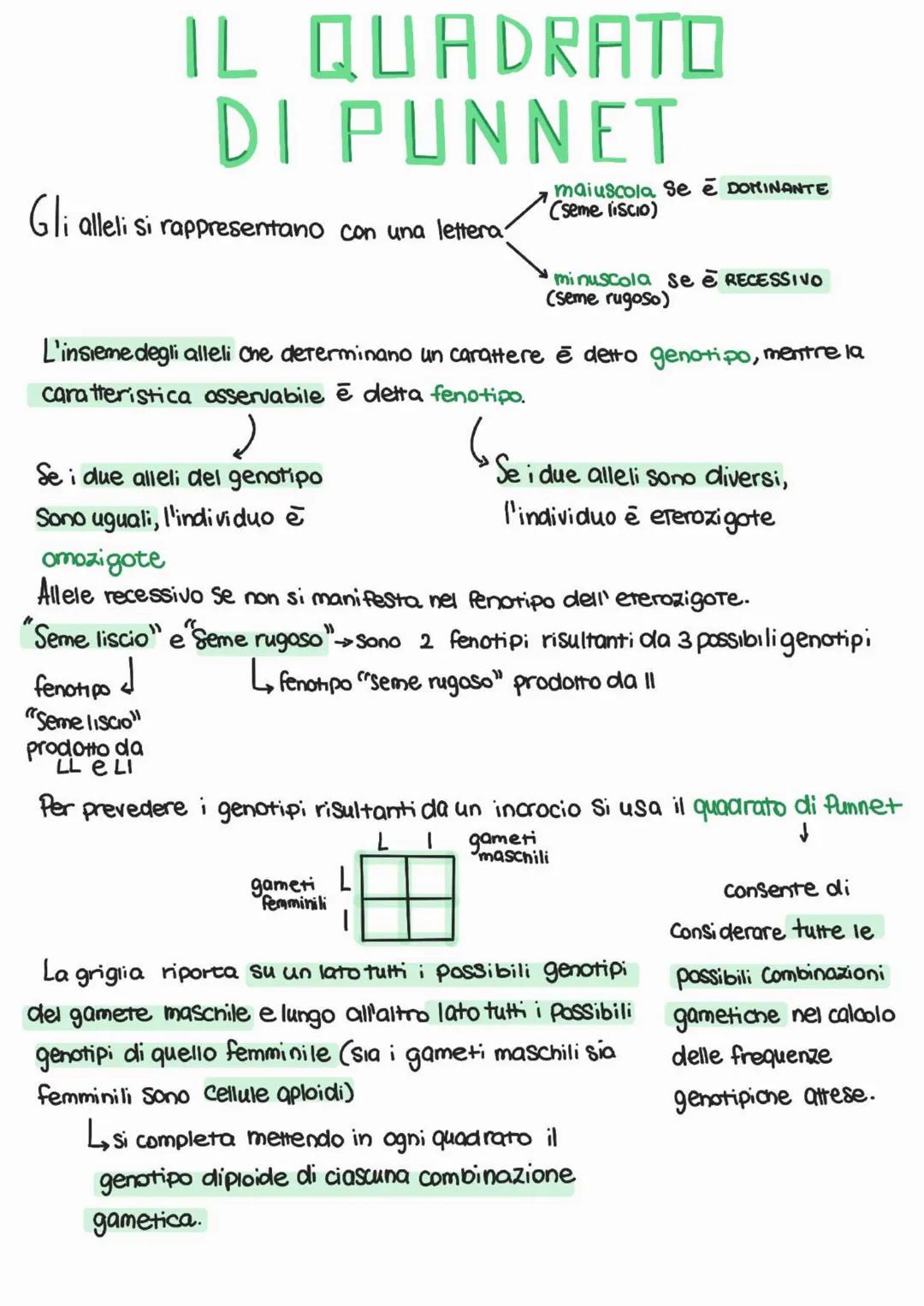 genetica
Mendel
Studio delle leggi e
dei meccanismi che
Permettono la trasmissione
dei caratteri da una
generazione all'altra e
nasce come s