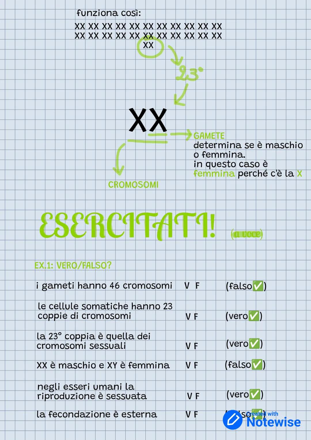 # LA RIPRODUZIONE
Negli esseri umani è
sessualta
fusione di due cellule
sussessuali (gameti)
sopravvivenza della
specie
Generare individ