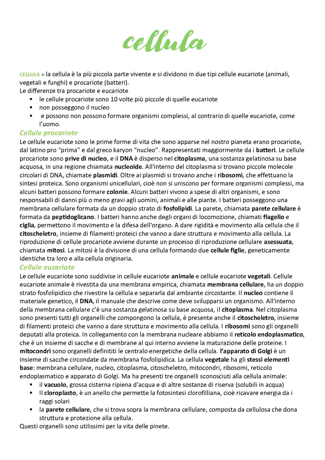 cellule eucariote e procariote