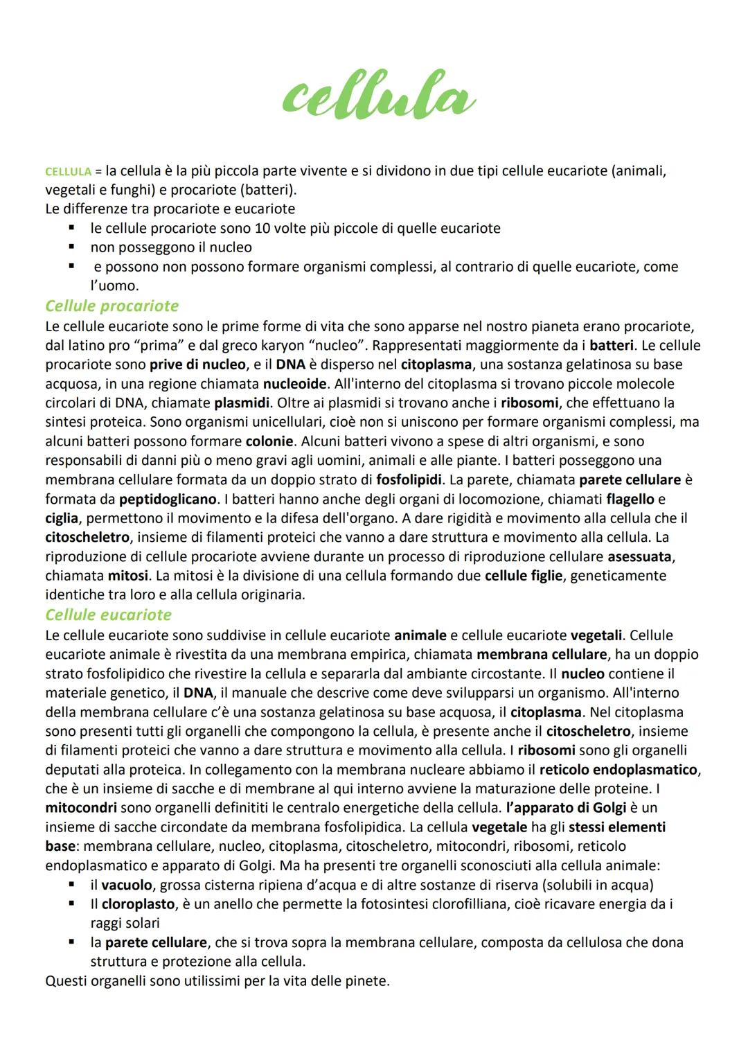 cellula
CELLULA = la cellula è la più piccola parte vivente e si dividono in due tipi cellule eucariote (animali,
vegetali e funghi) e proca