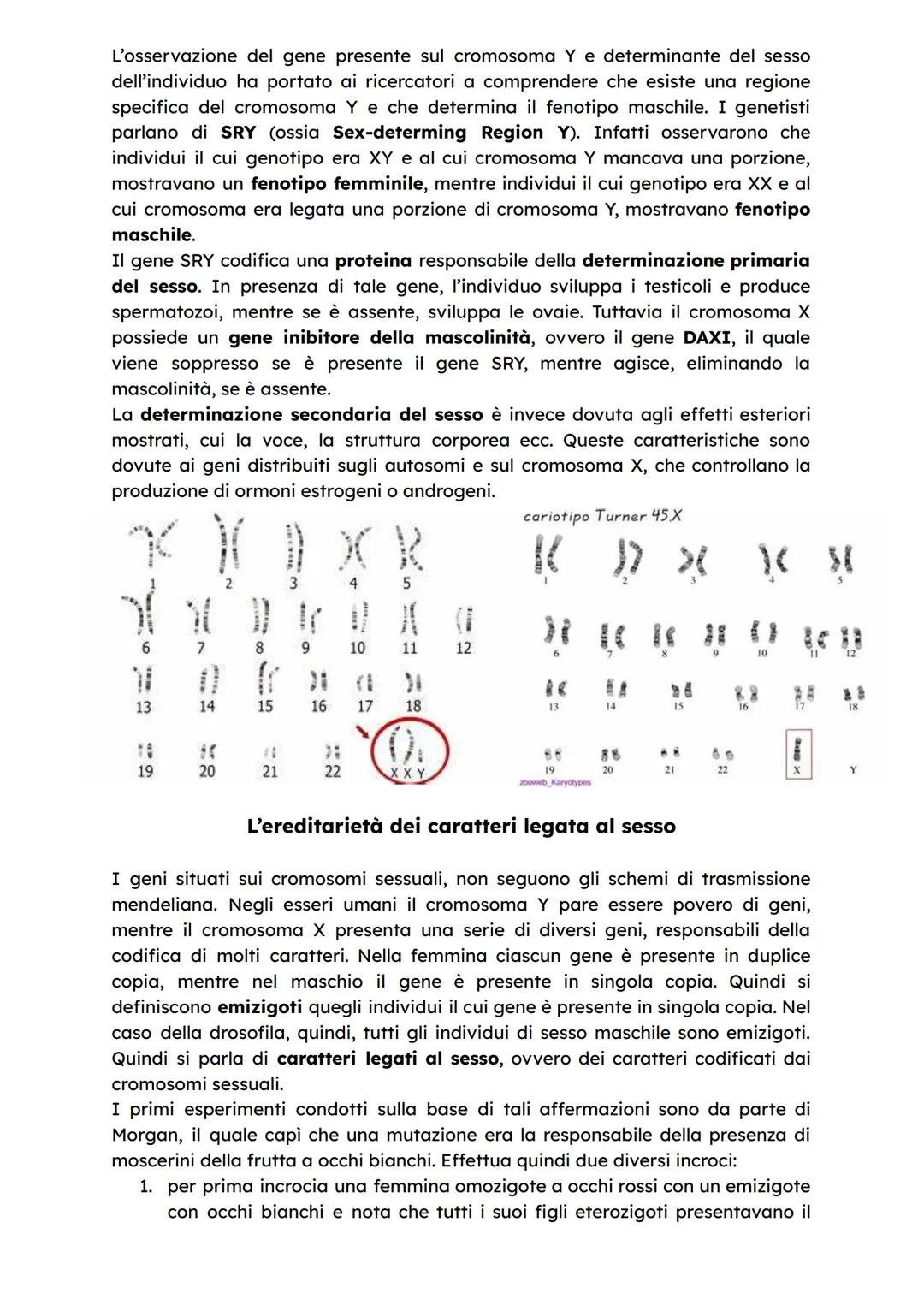 1
Molte piante sono organismi dioici, ovvero producono o solo gameti maschili o
gameti femminili, mentre molte altre piante, come quella del
