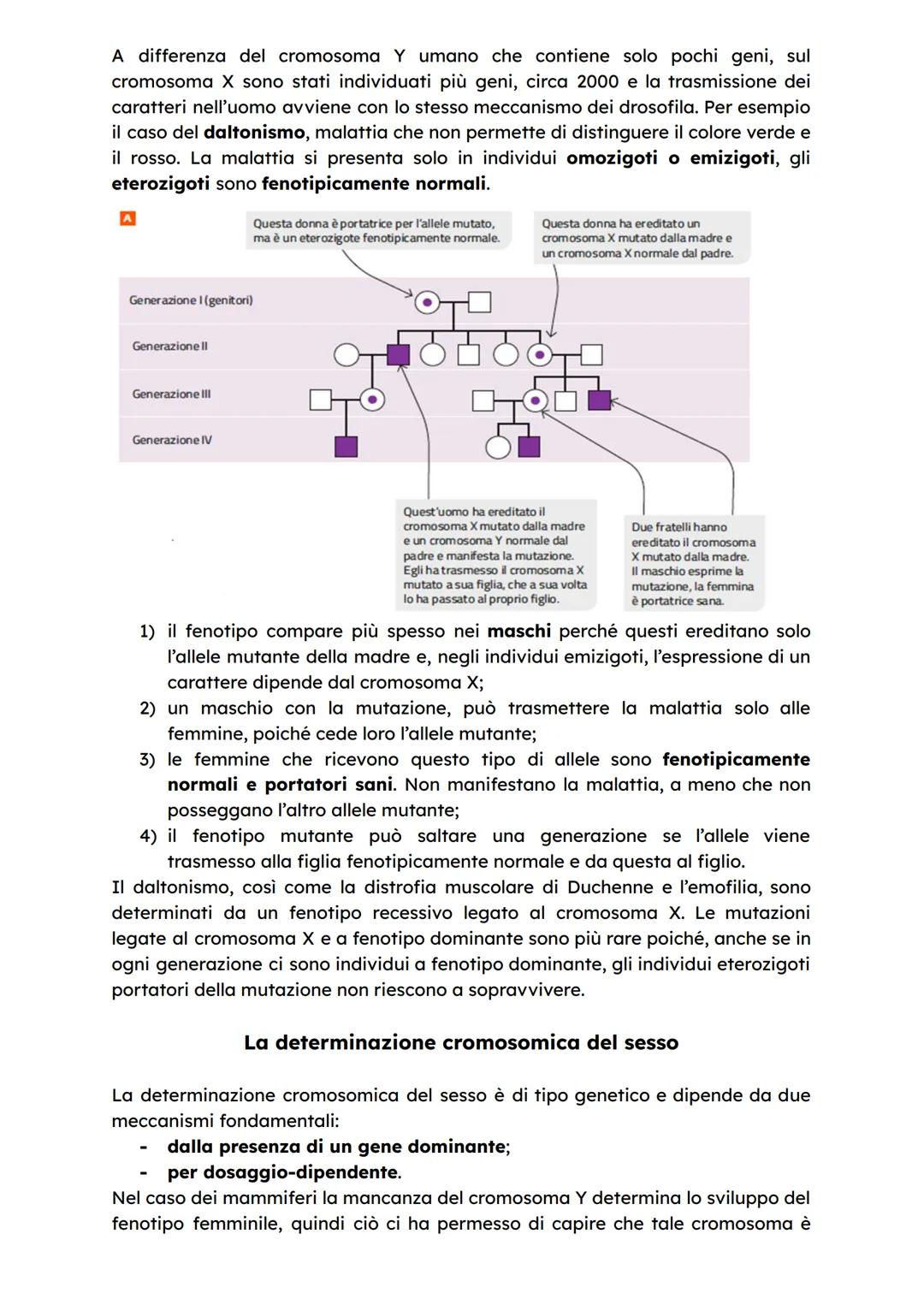 1
Molte piante sono organismi dioici, ovvero producono o solo gameti maschili o
gameti femminili, mentre molte altre piante, come quella del