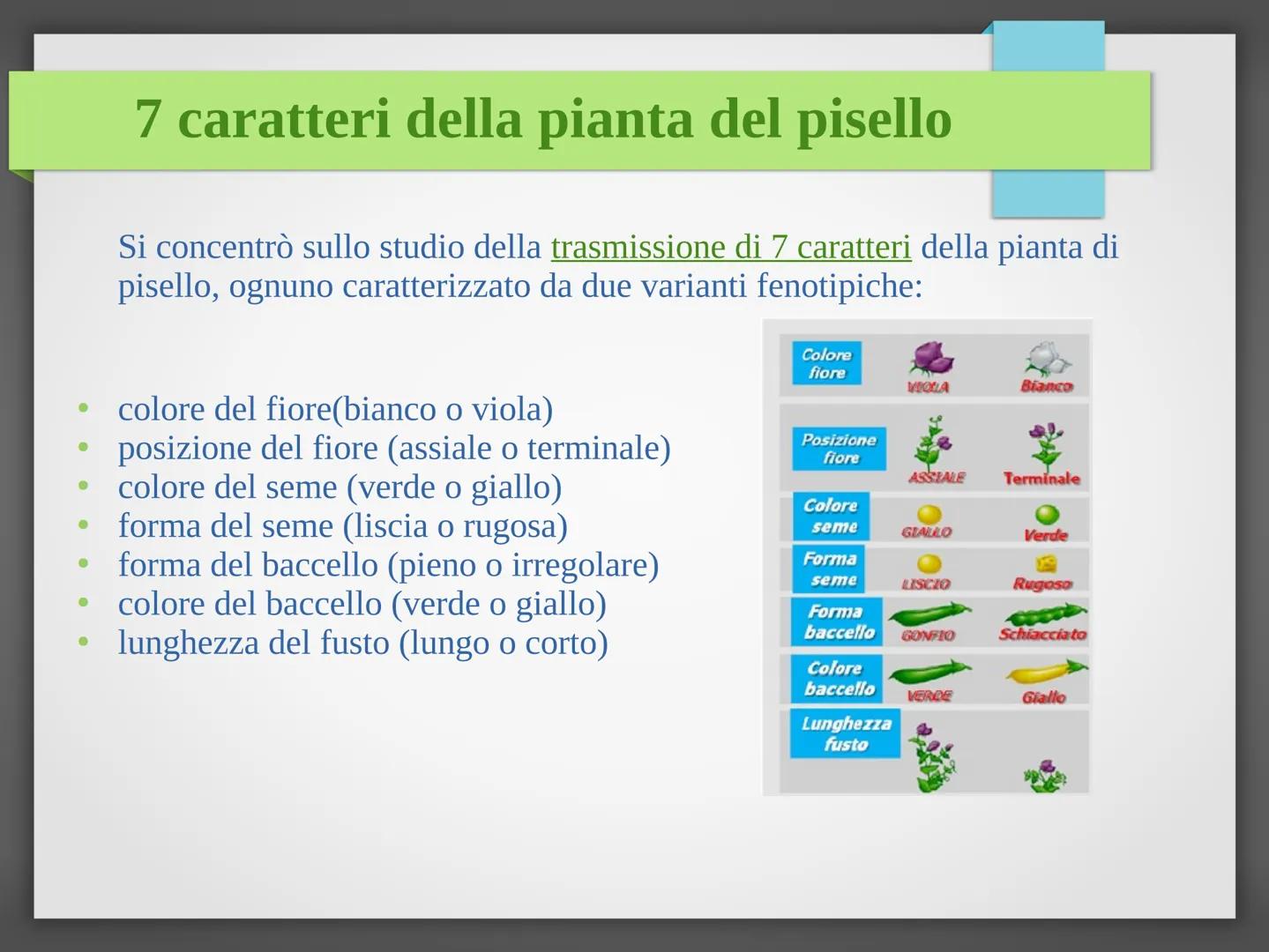 # La genetica mendeliana
Niccolò Bellini - 4°B # Gregor Johann Mendel
È stato un biologo e un matematico. È considerato il
padre della gen