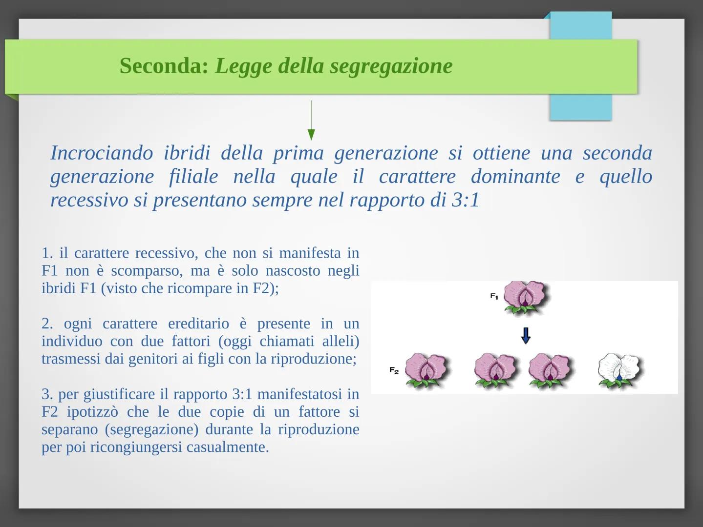 # La genetica mendeliana
Niccolò Bellini - 4°B # Gregor Johann Mendel
È stato un biologo e un matematico. È considerato il
padre della gen