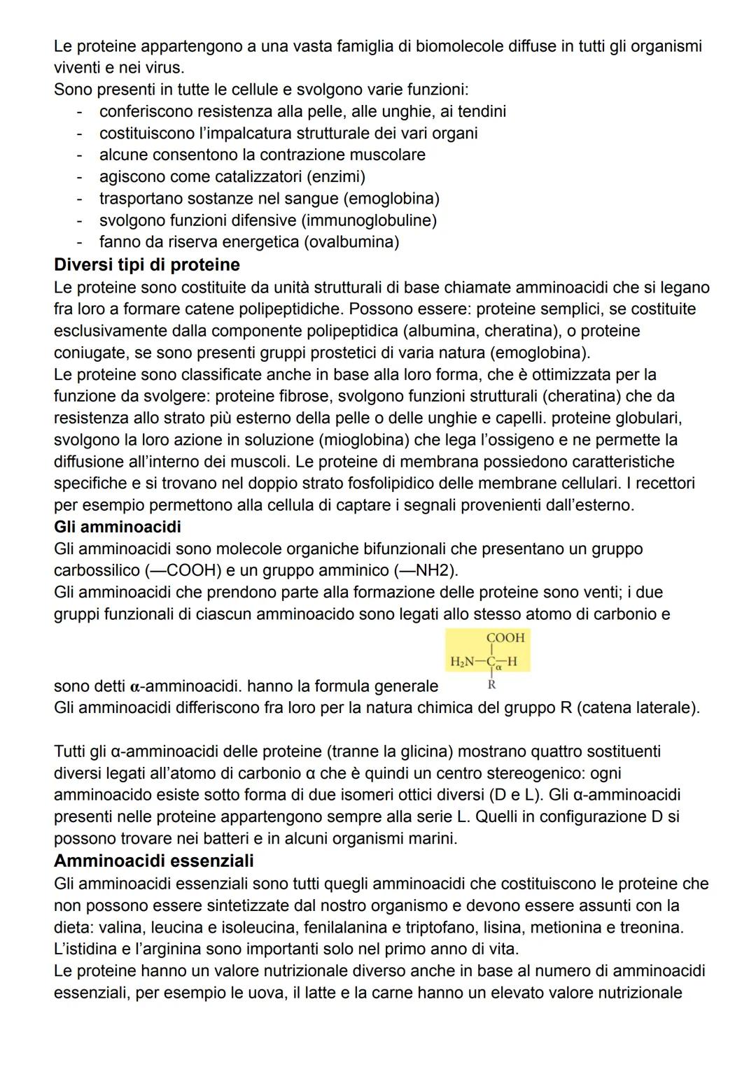 Le proteine appartengono a una vasta famiglia di biomolecole diffuse in tutti gli organismi
viventi e nei virus.
Sono presenti in tutte le c