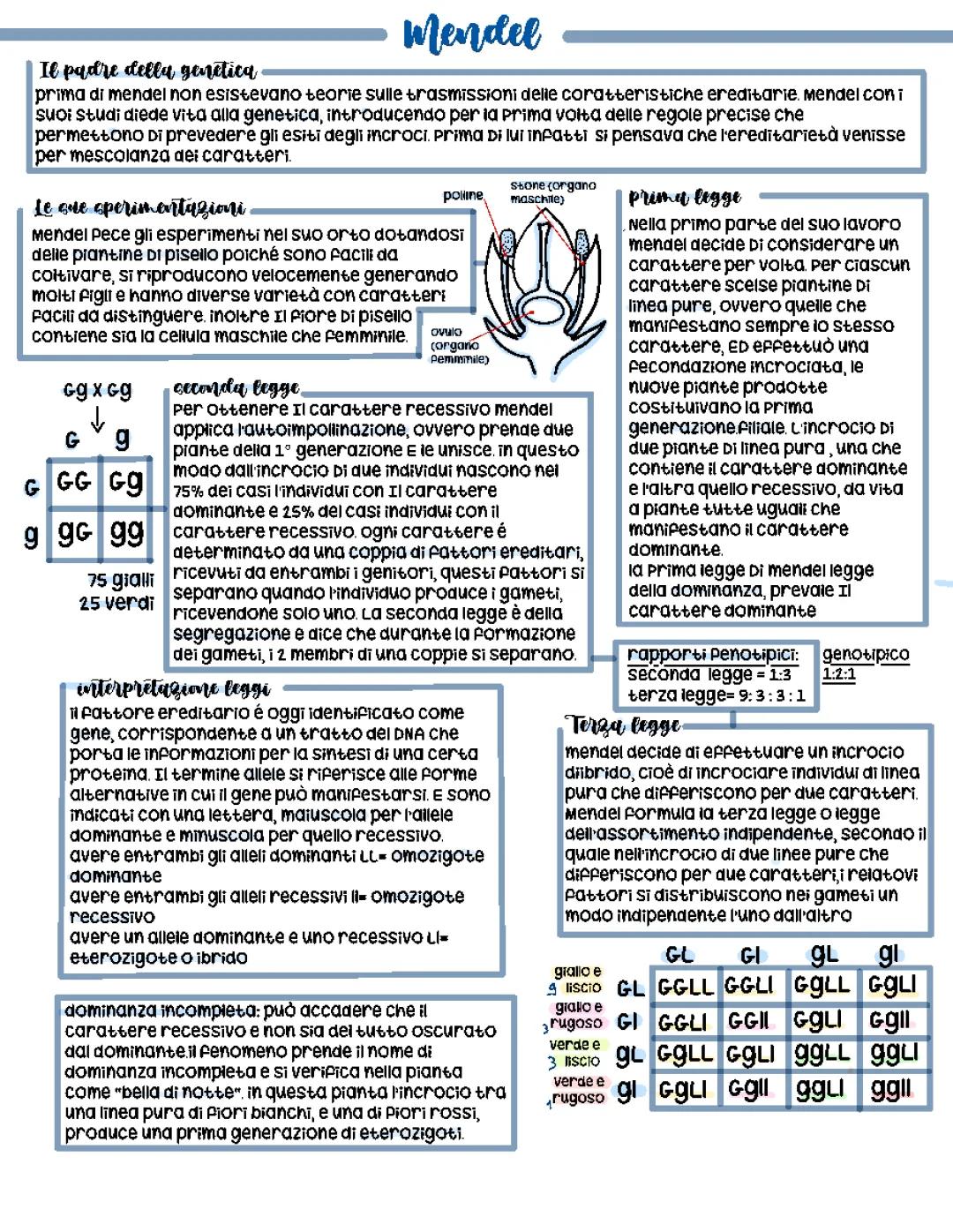 mendel e le sue leggi