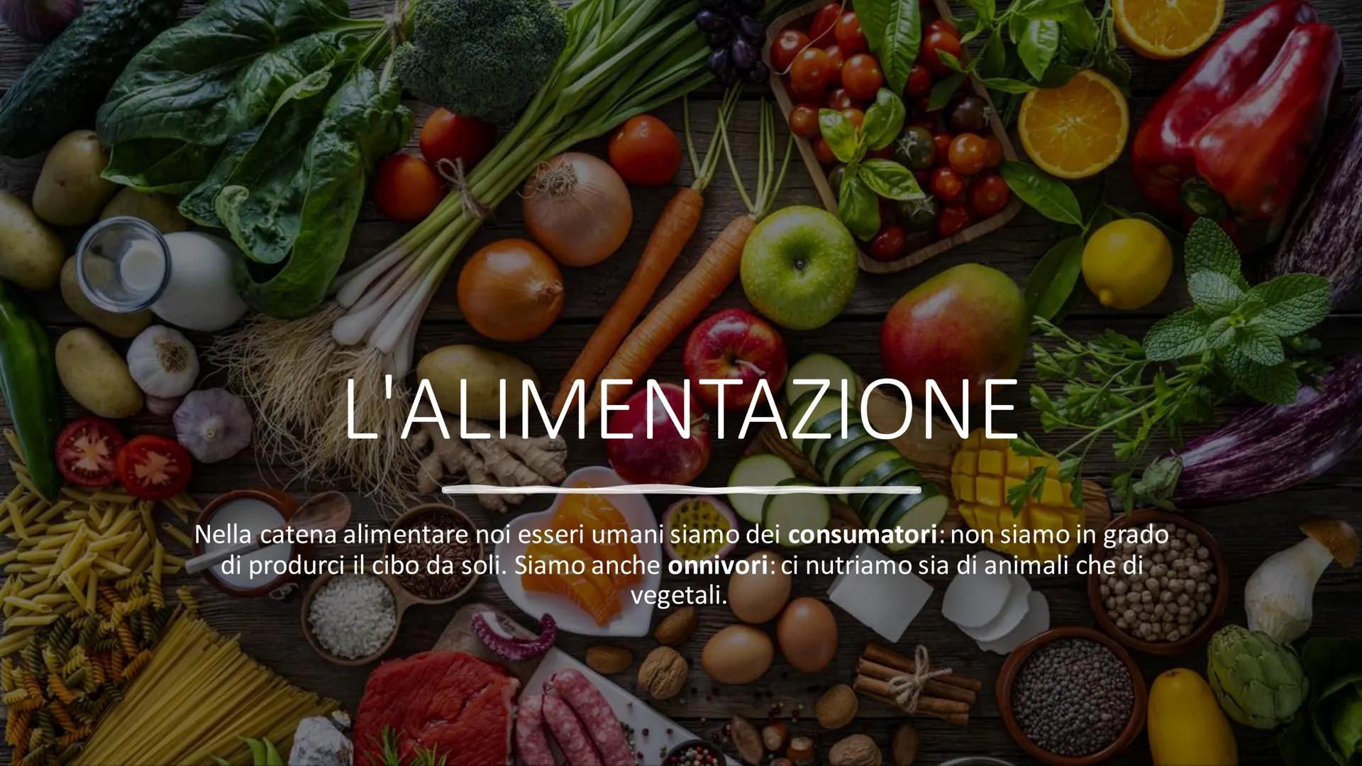 L'ALIMENTAZIONE
Nella catena alimentare noi esseri umani siamo dei consumatori: non siamo in grado
di produrci il cibo da soli. Siamo anche
