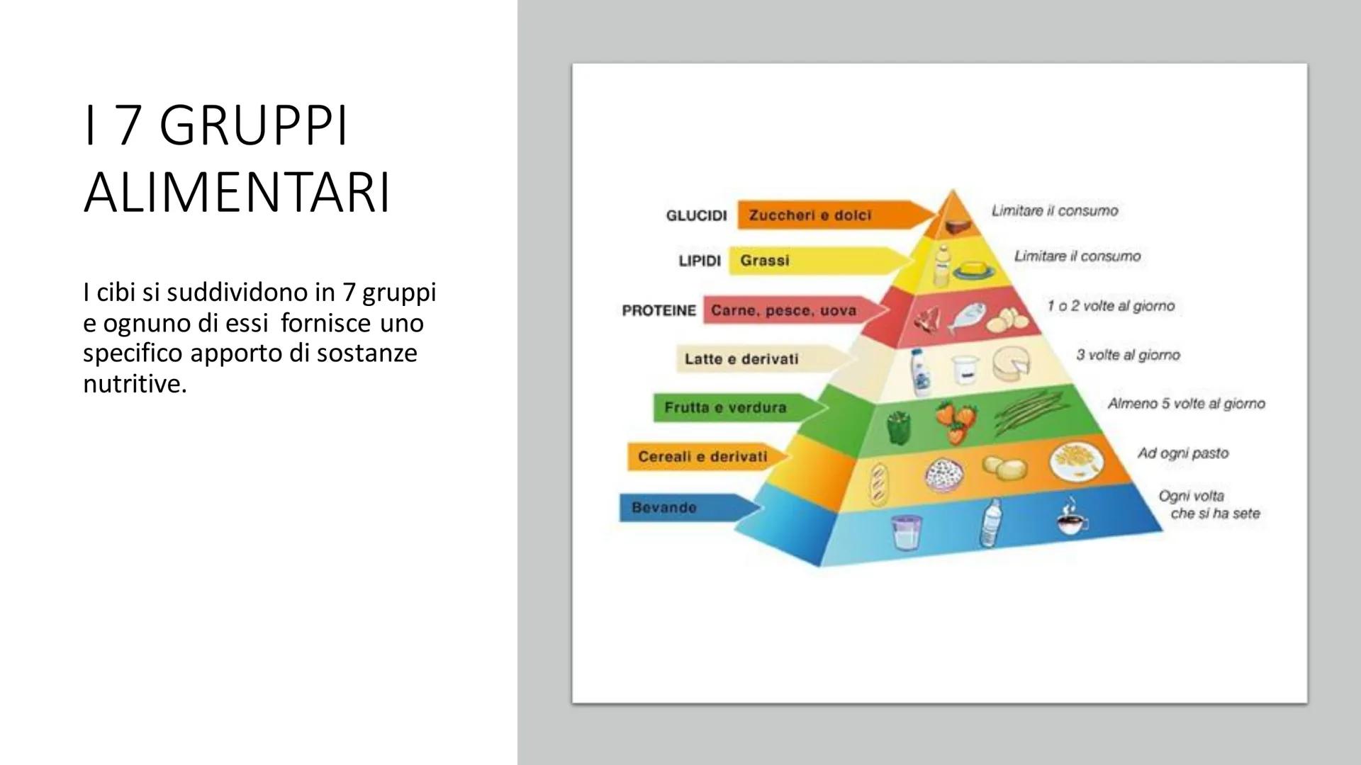 L'ALIMENTAZIONE
Nella catena alimentare noi esseri umani siamo dei consumatori: non siamo in grado
di produrci il cibo da soli. Siamo anche