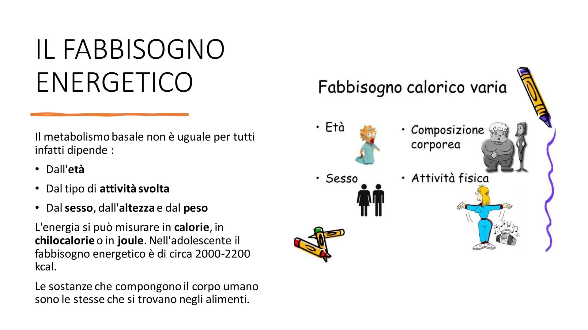 L'ALIMENTAZIONE
Nella catena alimentare noi esseri umani siamo dei consumatori: non siamo in grado
di produrci il cibo da soli. Siamo anche