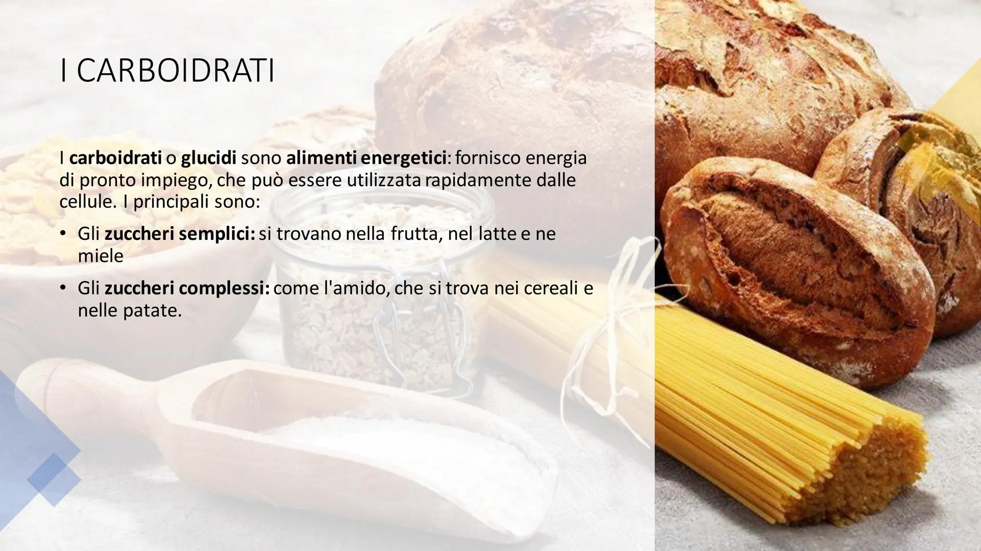 L'ALIMENTAZIONE
Nella catena alimentare noi esseri umani siamo dei consumatori: non siamo in grado
di produrci il cibo da soli. Siamo anche