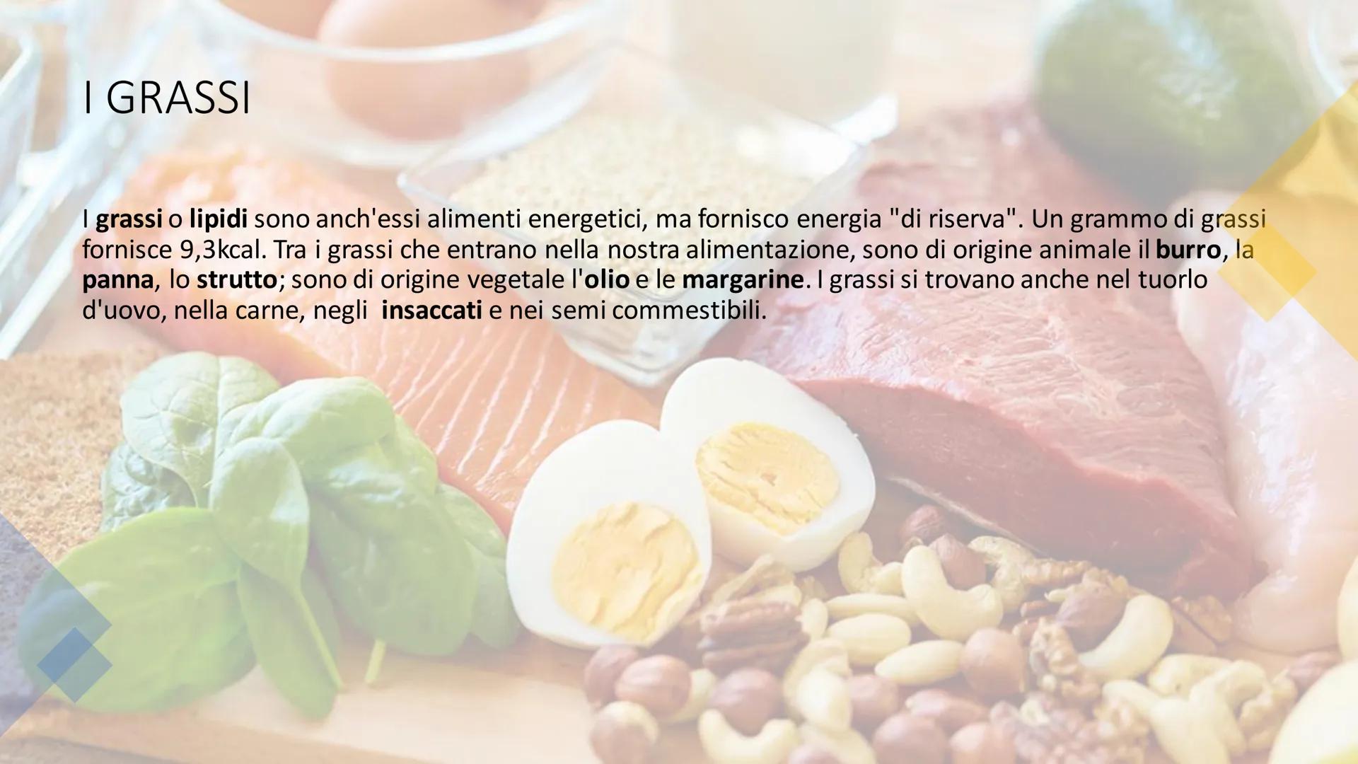 L'ALIMENTAZIONE
Nella catena alimentare noi esseri umani siamo dei consumatori: non siamo in grado
di produrci il cibo da soli. Siamo anche