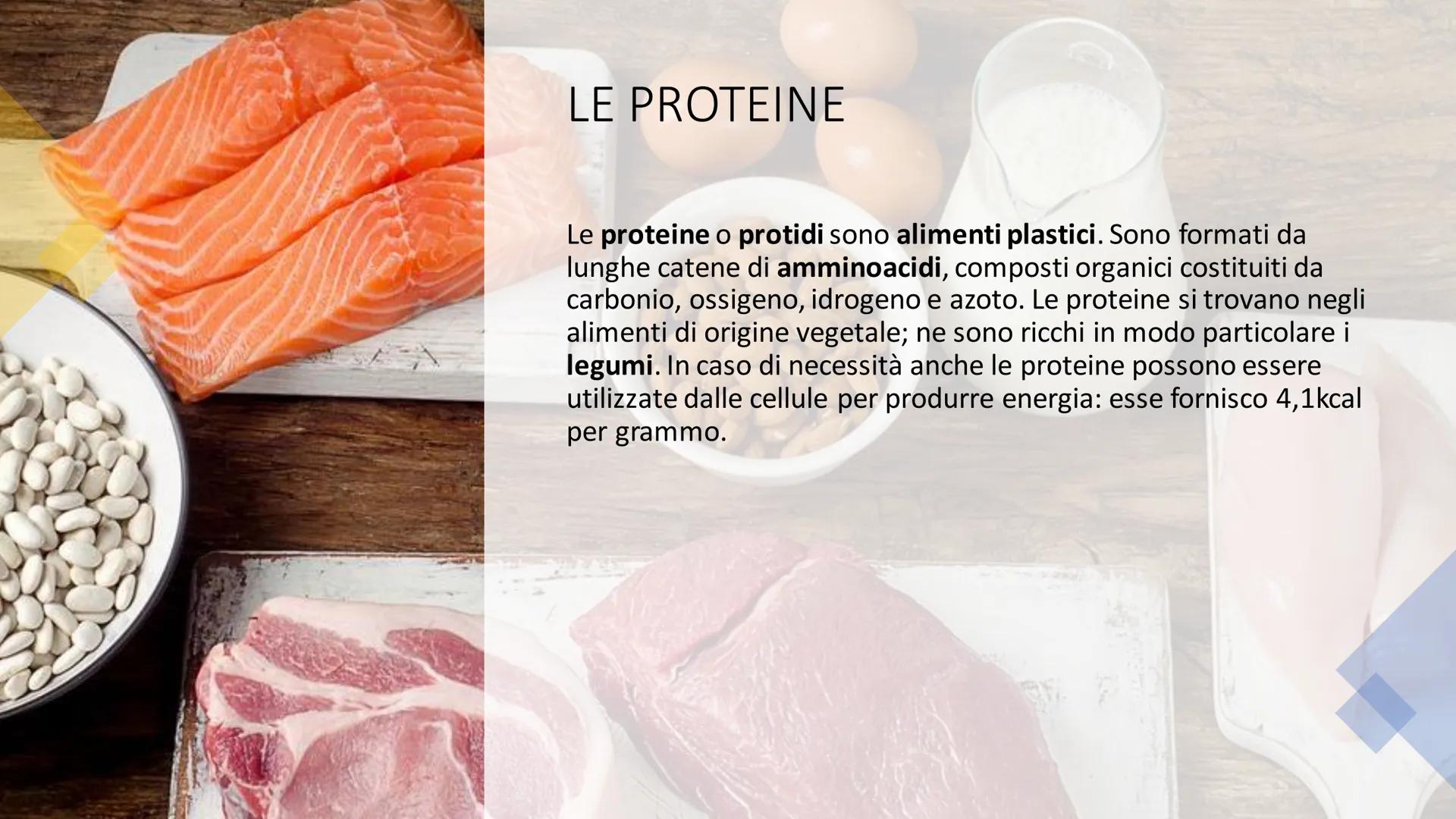 L'ALIMENTAZIONE
Nella catena alimentare noi esseri umani siamo dei consumatori: non siamo in grado
di produrci il cibo da soli. Siamo anche