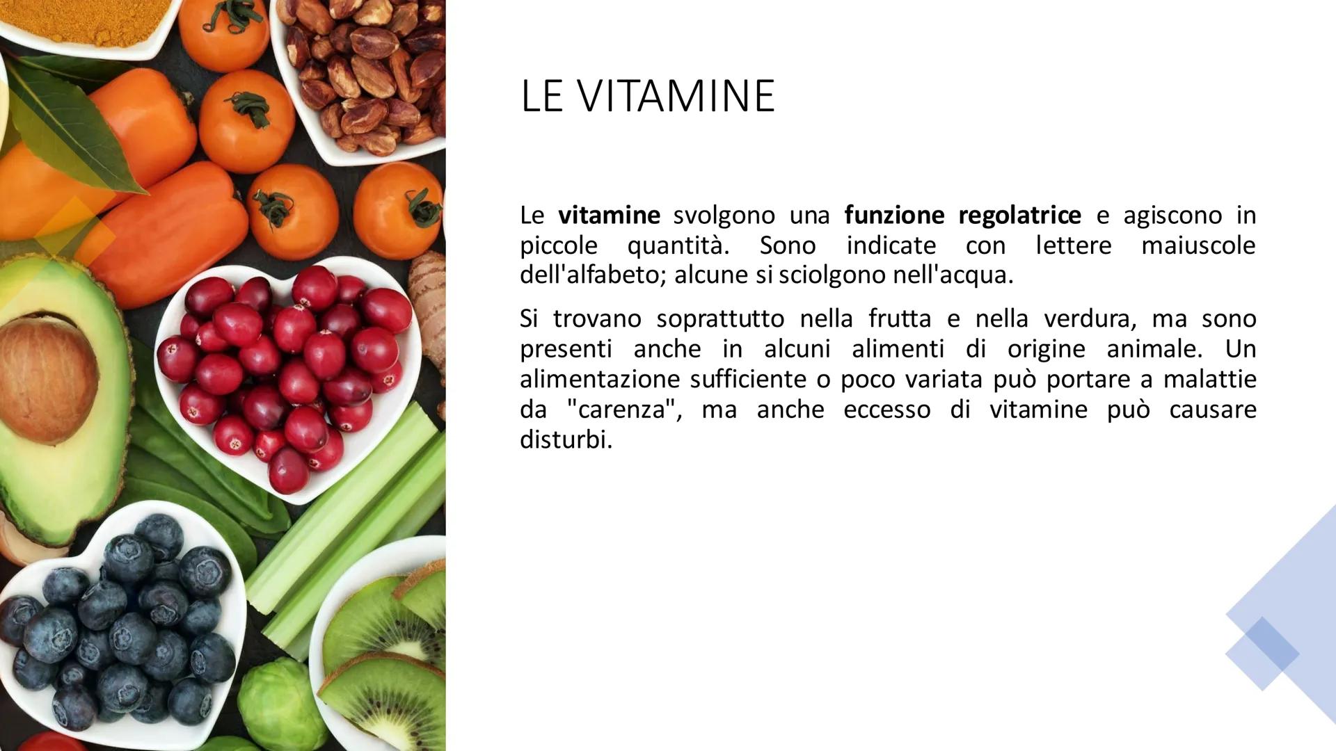 L'ALIMENTAZIONE
Nella catena alimentare noi esseri umani siamo dei consumatori: non siamo in grado
di produrci il cibo da soli. Siamo anche