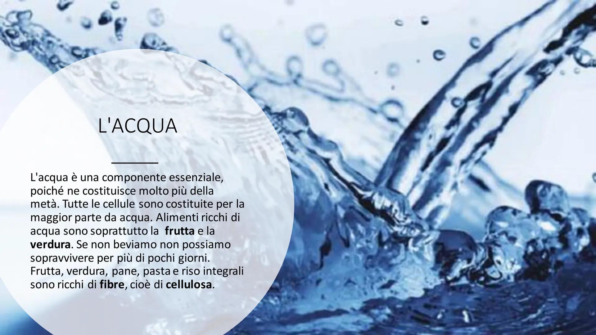 L'ALIMENTAZIONE
Nella catena alimentare noi esseri umani siamo dei consumatori: non siamo in grado
di produrci il cibo da soli. Siamo anche