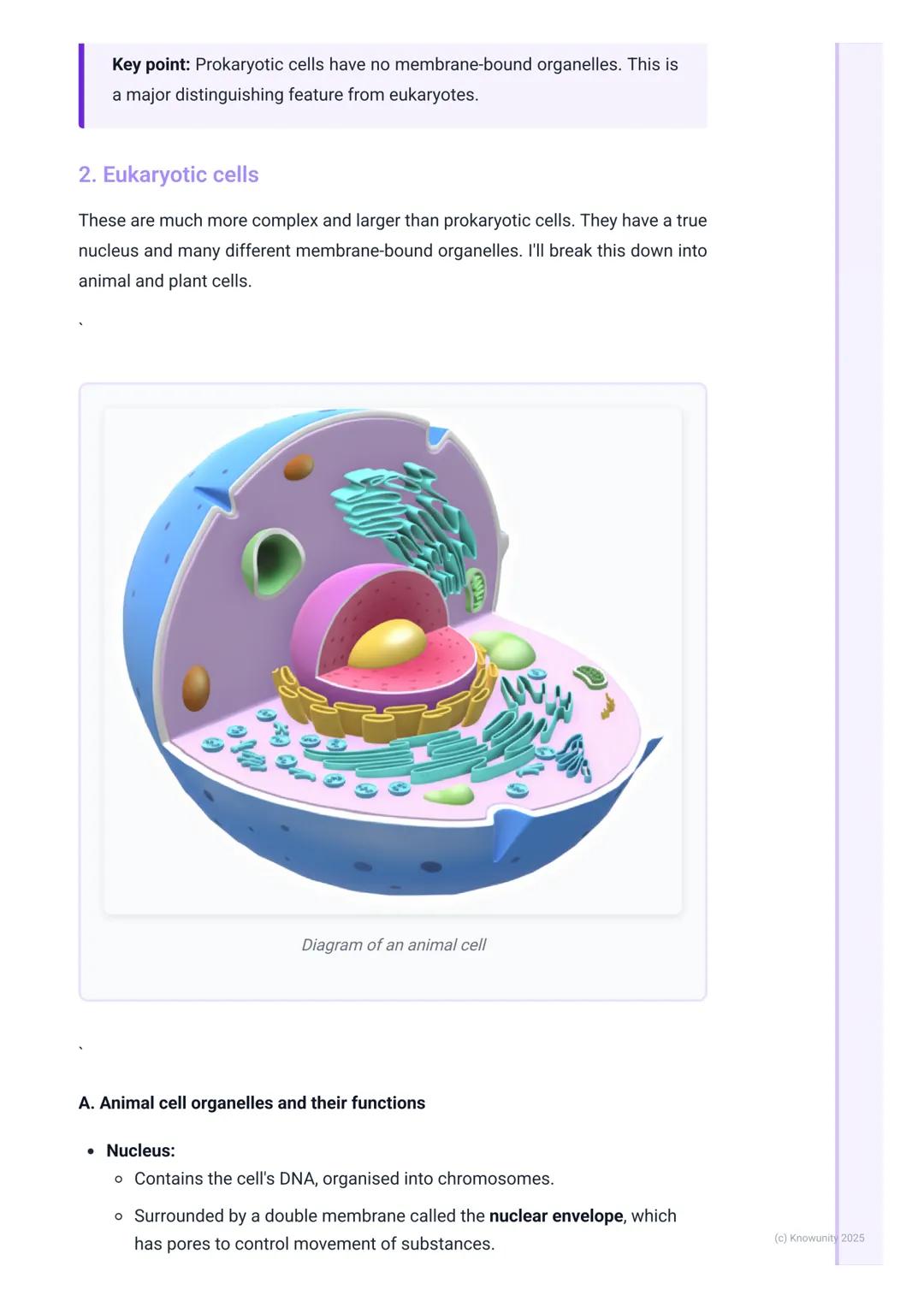 # Cell Structure and Function
Introduction to cell theory and types
The cell is the fundamental structural and functional unit of all know