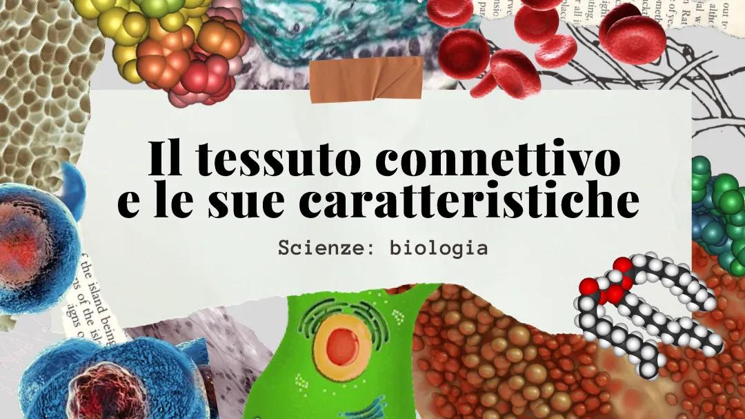 Il tessuto Connettivo e le sue caratteristiche