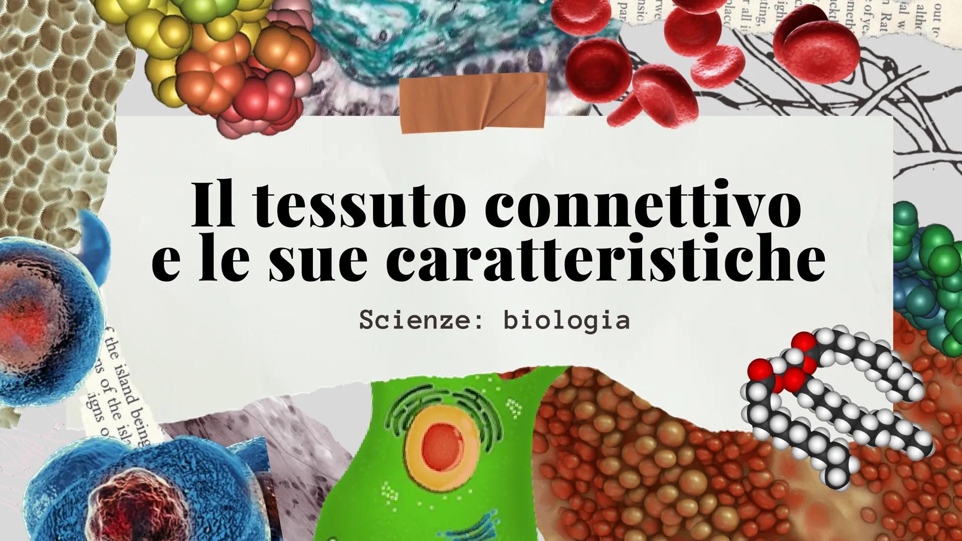 ckt
place
Il tessuto connettivo
e le sue caratteristiche
Scienze: biologia
the island being
ns of the isla
igns of I diversi tipi di tessuto