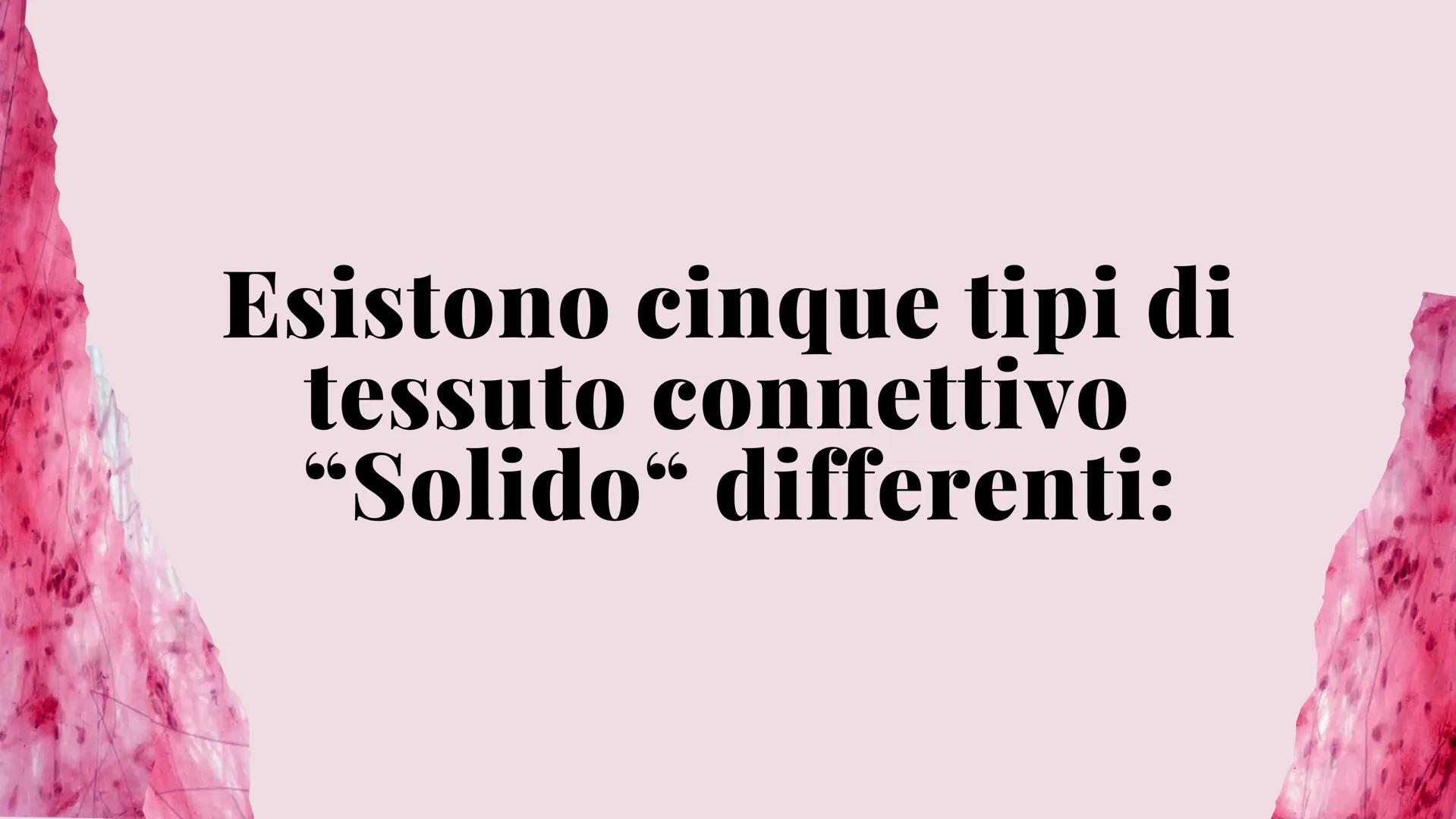 ckt
place
Il tessuto connettivo
e le sue caratteristiche
Scienze: biologia
the island being
ns of the isla
igns of I diversi tipi di tessuto