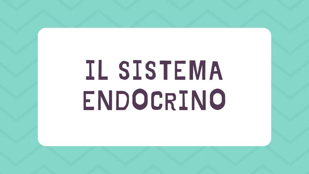 il sistema endocrino